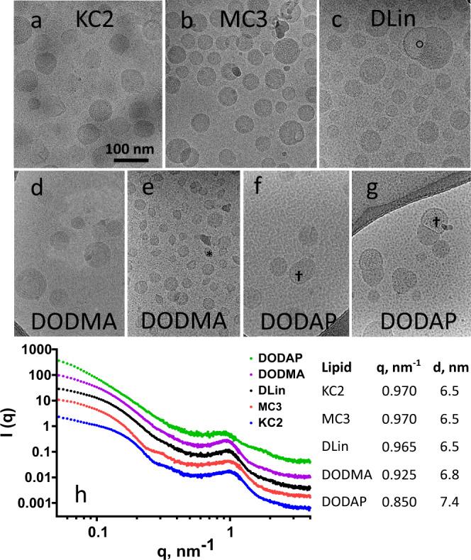 https://cdn.ncbi.nlm.nih.gov/pmc/blobs/885c/8358000/3f43b010e02f/42003_2021_2441_Fig2_HTML.jpg