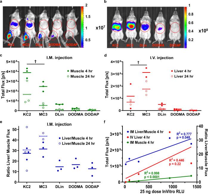 https://cdn.ncbi.nlm.nih.gov/pmc/blobs/885c/8358000/f0cfd292d7f8/42003_2021_2441_Fig4_HTML.jpg