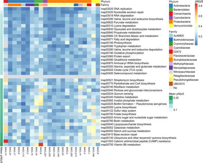https://cdn.ncbi.nlm.nih.gov/pmc/blobs/885d/8443644/0c3f06de109a/41396_2021_985_Fig6_HTML.jpg