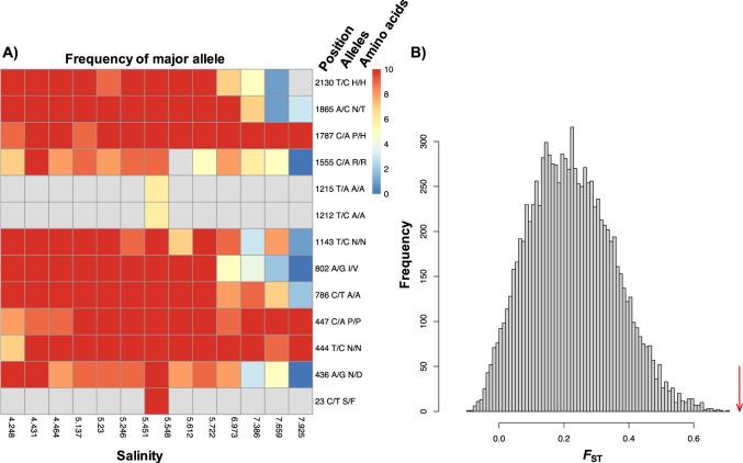 https://cdn.ncbi.nlm.nih.gov/pmc/blobs/885d/8443644/f9342b926e1c/41396_2021_985_Fig7_HTML.jpg