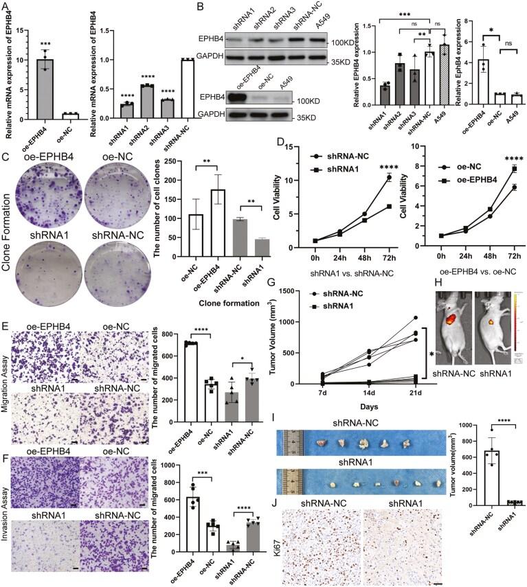 https://cdn.ncbi.nlm.nih.gov/pmc/blobs/885e/11886828/780ff76ecb36/bgae074_fig3.jpg