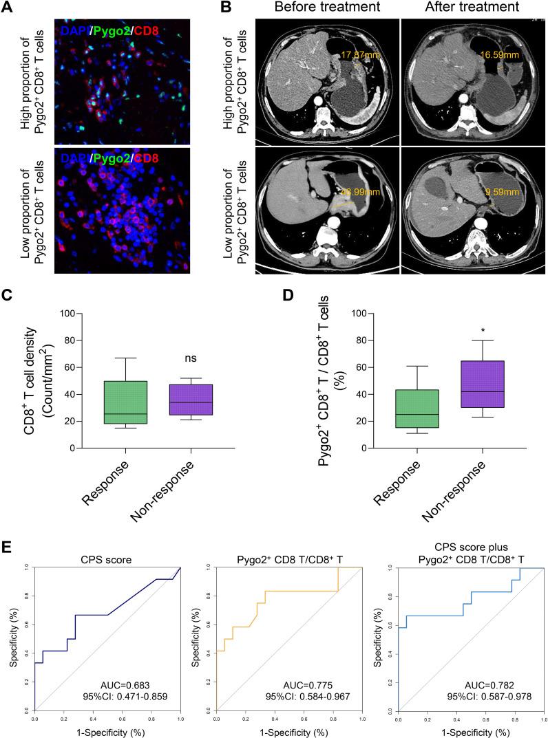 https://cdn.ncbi.nlm.nih.gov/pmc/blobs/885e/12326480/7346e8cd973b/fimmu-16-1596434-g005.jpg