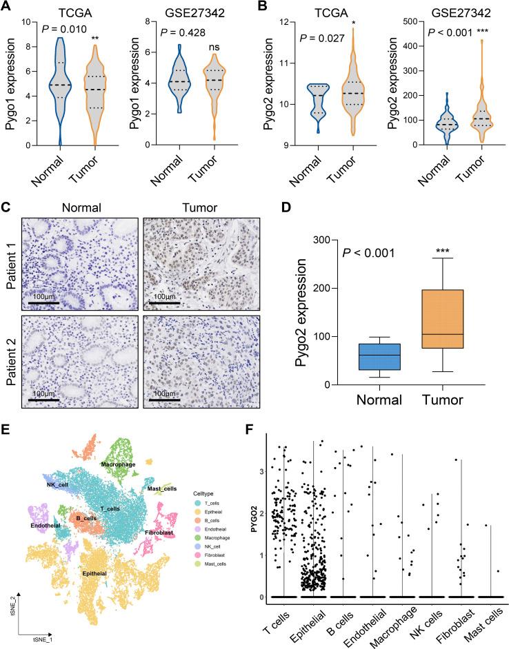 https://cdn.ncbi.nlm.nih.gov/pmc/blobs/885e/12326480/e7b5d77d2746/fimmu-16-1596434-g001.jpg