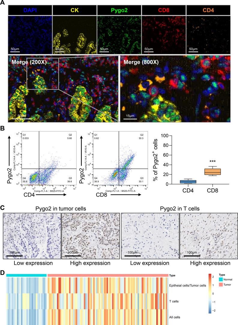 https://cdn.ncbi.nlm.nih.gov/pmc/blobs/885e/12326480/ebcc88b71ddd/fimmu-16-1596434-g002.jpg