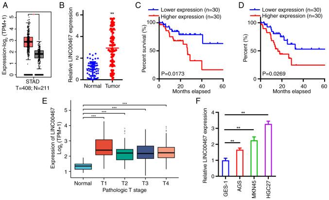 https://cdn.ncbi.nlm.nih.gov/pmc/blobs/8861/12329486/28fc0d950a31/ol-30-04-15205-g00.jpg