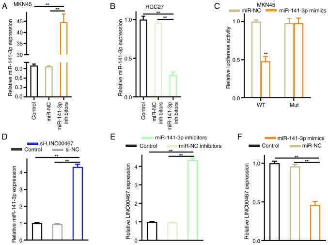 https://cdn.ncbi.nlm.nih.gov/pmc/blobs/8861/12329486/49ef88f82b77/ol-30-04-15205-g04.jpg