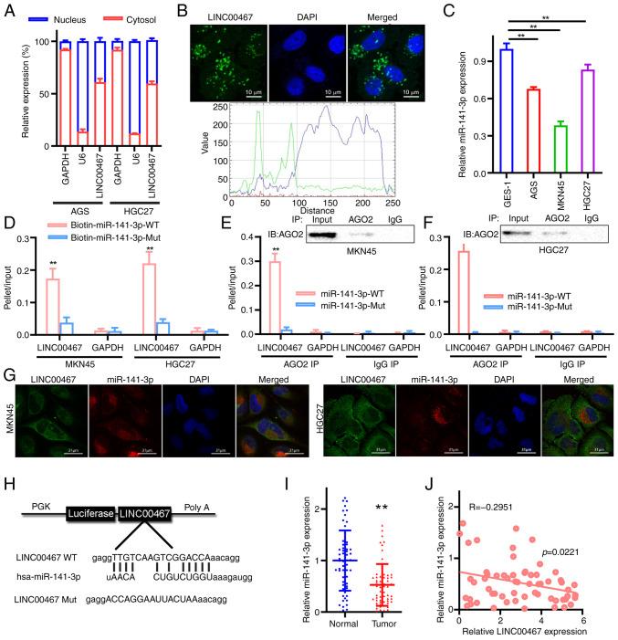 https://cdn.ncbi.nlm.nih.gov/pmc/blobs/8861/12329486/7071ab1163c1/ol-30-04-15205-g03.jpg