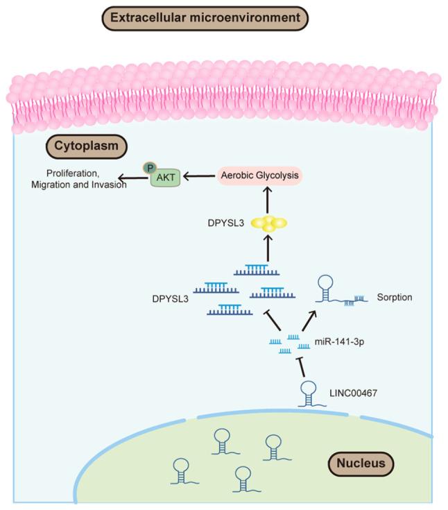 https://cdn.ncbi.nlm.nih.gov/pmc/blobs/8861/12329486/847fd5f2d0e8/ol-30-04-15205-g08.jpg