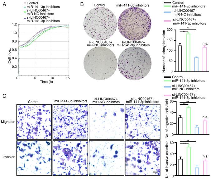 https://cdn.ncbi.nlm.nih.gov/pmc/blobs/8861/12329486/e1d3863a2567/ol-30-04-15205-g05.jpg