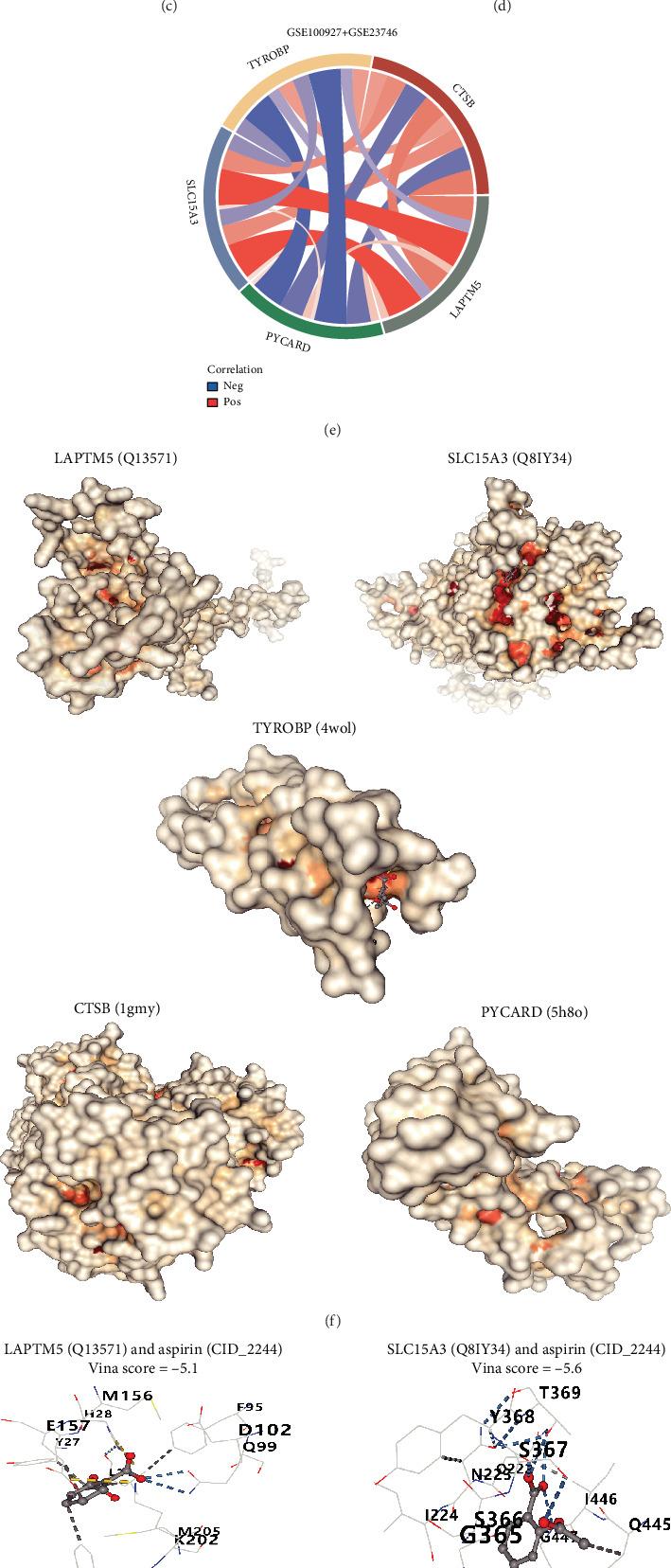 https://cdn.ncbi.nlm.nih.gov/pmc/blobs/8862/12390559/2d859564024a/HUMU2025-9034896.006.jpg