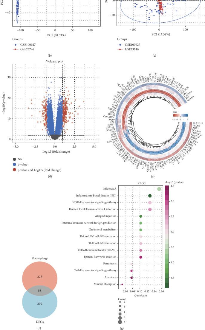 https://cdn.ncbi.nlm.nih.gov/pmc/blobs/8862/12390559/e94ed4746e35/HUMU2025-9034896.002.jpg