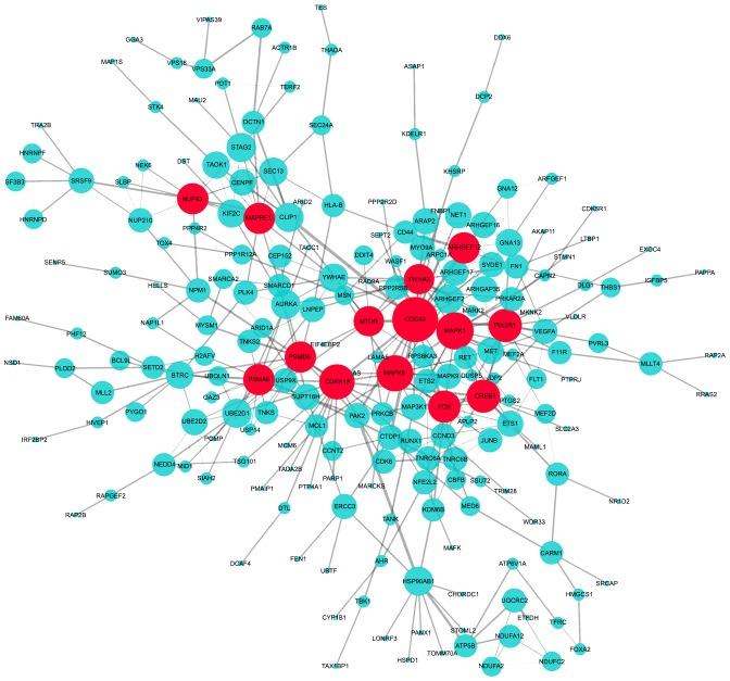 https://cdn.ncbi.nlm.nih.gov/pmc/blobs/8863/5646957/ecbb726476a5/MMR-16-04-3799-g02.jpg