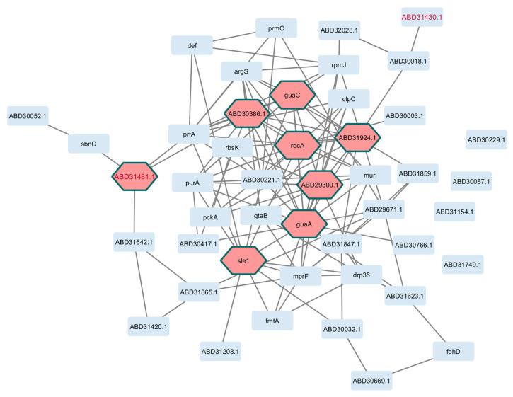 https://cdn.ncbi.nlm.nih.gov/pmc/blobs/8865/12389024/4eb963f7023f/pathogens-14-00788-g004.jpg