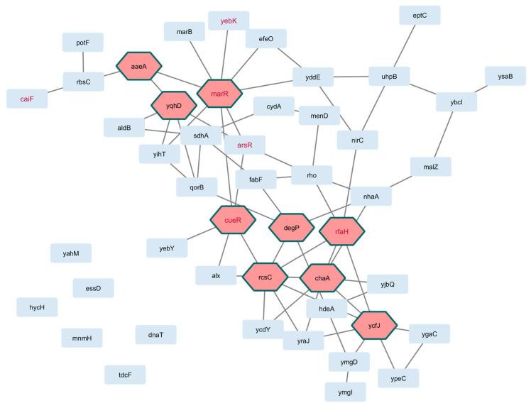 https://cdn.ncbi.nlm.nih.gov/pmc/blobs/8865/12389024/7588f1362769/pathogens-14-00788-g003.jpg