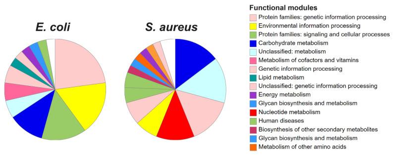 https://cdn.ncbi.nlm.nih.gov/pmc/blobs/8865/12389024/e416a0e269f5/pathogens-14-00788-g005.jpg