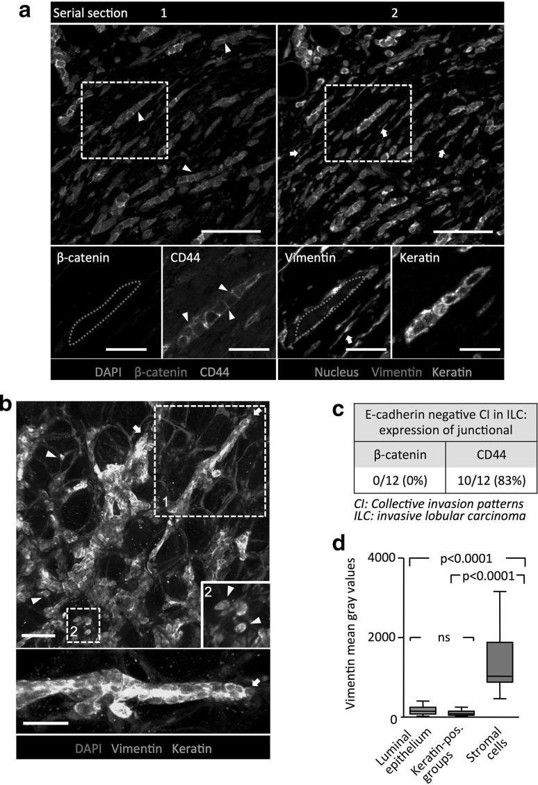 https://cdn.ncbi.nlm.nih.gov/pmc/blobs/8865/5711975/985f263d5c55/10585_2017_9858_Fig2_HTML.jpg