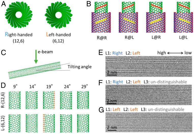 https://cdn.ncbi.nlm.nih.gov/pmc/blobs/8865/8449348/1f1df55511a6/pnas.2107295118fig05.jpg