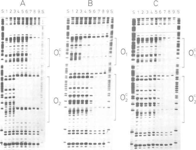 https://cdn.ncbi.nlm.nih.gov/pmc/blobs/8866/454355/e837f726044b/emboj00139-0268-a.jpg