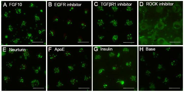 https://cdn.ncbi.nlm.nih.gov/pmc/blobs/8867/9222211/f898768ed3d6/cells-11-01962-g001.jpg
