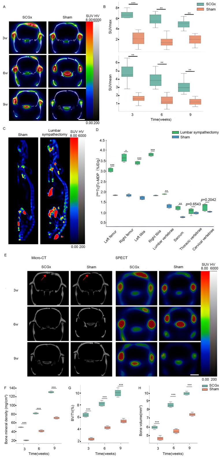 https://cdn.ncbi.nlm.nih.gov/pmc/blobs/8869/12264536/ab4343918ca5/fendo-16-1580230-g005.jpg
