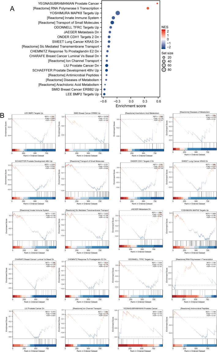 https://cdn.ncbi.nlm.nih.gov/pmc/blobs/886a/12066489/ccfdc883d894/fimmu-16-1543476-g002.jpg