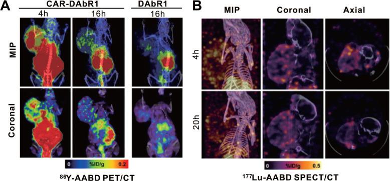 https://cdn.ncbi.nlm.nih.gov/pmc/blobs/886a/8171102/254531f86ec2/thnov11p6800g009.jpg