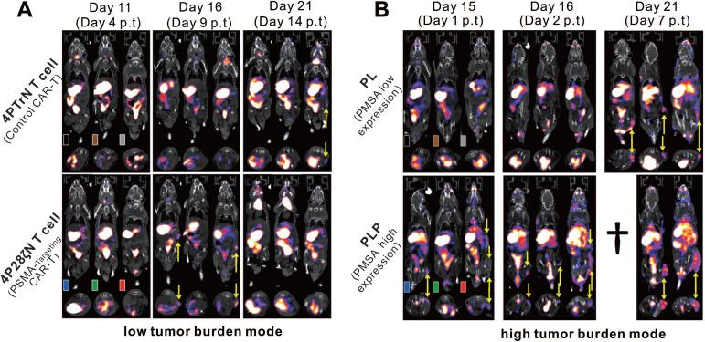 https://cdn.ncbi.nlm.nih.gov/pmc/blobs/886a/8171102/37cedca0b924/thnov11p6800g005.jpg