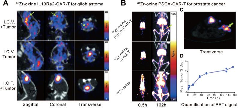 https://cdn.ncbi.nlm.nih.gov/pmc/blobs/886a/8171102/50acae8cb622/thnov11p6800g002.jpg