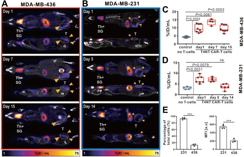 https://cdn.ncbi.nlm.nih.gov/pmc/blobs/886a/8171102/70ae1738b94b/thnov11p6800g006.jpg