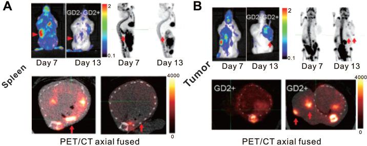 https://cdn.ncbi.nlm.nih.gov/pmc/blobs/886a/8171102/922f51df2d3e/thnov11p6800g004.jpg