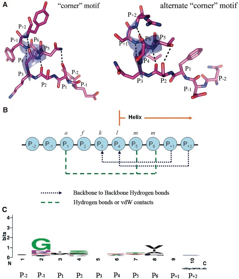 https://cdn.ncbi.nlm.nih.gov/pmc/blobs/886b/2919736/3ac666b19a9d/gkq478f3.jpg