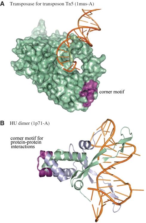 https://cdn.ncbi.nlm.nih.gov/pmc/blobs/886b/2919736/ef7cd27e1906/gkq478f4.jpg