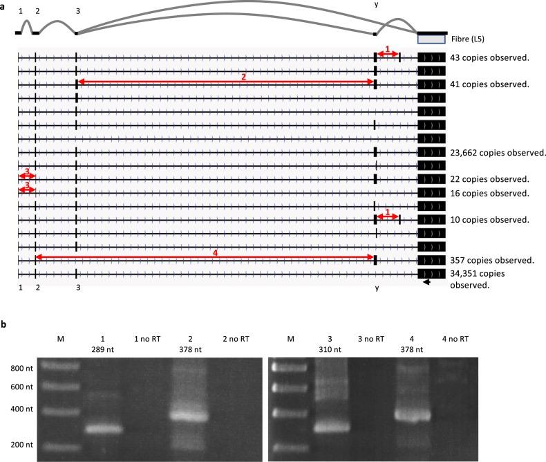 https://cdn.ncbi.nlm.nih.gov/pmc/blobs/886c/7070027/a0748b022d10/42003_2020_849_Fig10_HTML.jpg