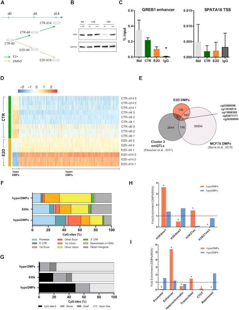 https://cdn.ncbi.nlm.nih.gov/pmc/blobs/886c/8464064/040ada0f084c/gkab697fig1.jpg