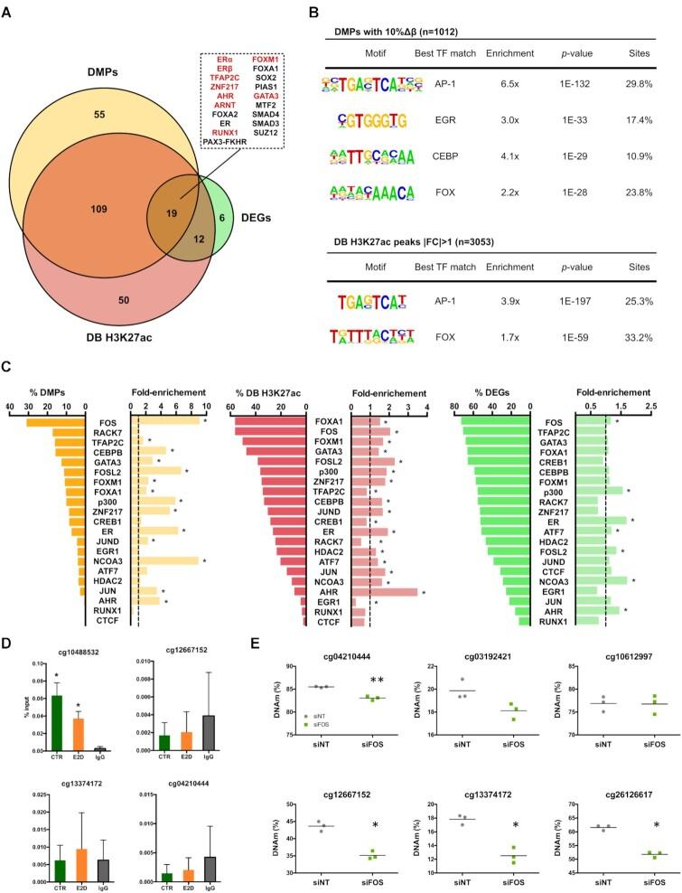 https://cdn.ncbi.nlm.nih.gov/pmc/blobs/886c/8464064/9d5f287ba010/gkab697fig4.jpg