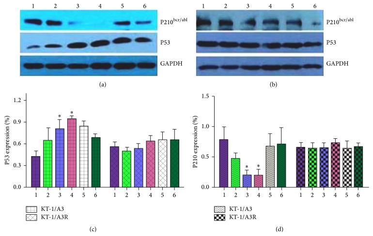 https://cdn.ncbi.nlm.nih.gov/pmc/blobs/886e/4569753/2009e5a7db2c/BMRI2015-325026.004.jpg
