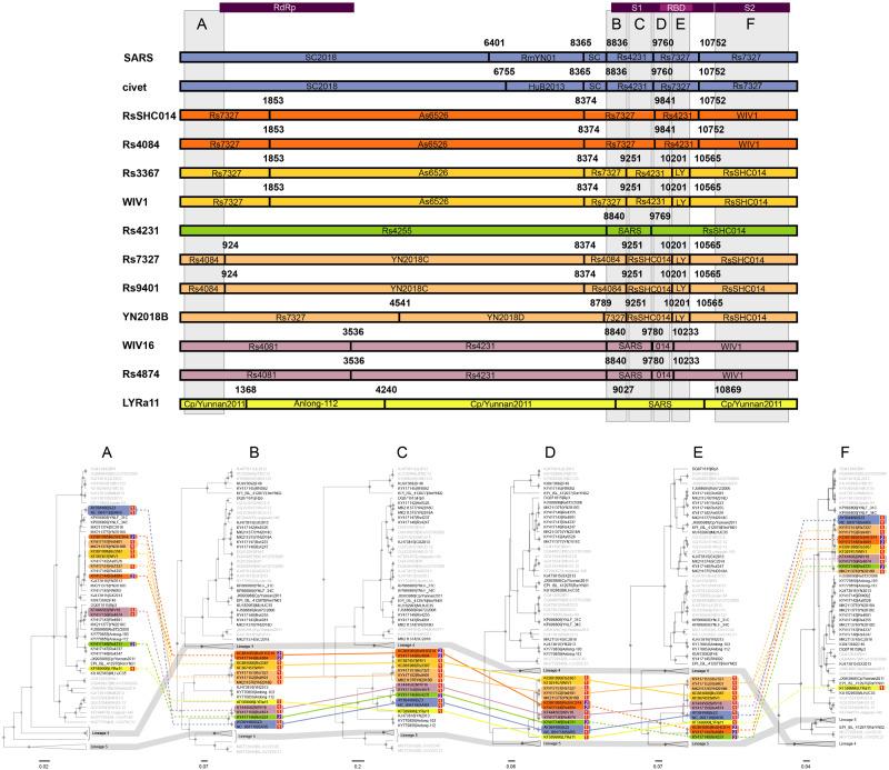 https://cdn.ncbi.nlm.nih.gov/pmc/blobs/886f/7966859/aacd898d7ac5/veab007f6.jpg