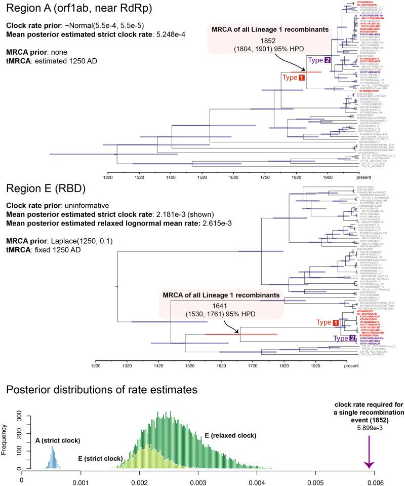 https://cdn.ncbi.nlm.nih.gov/pmc/blobs/886f/7966859/c068a0d72fe4/veab007f7.jpg