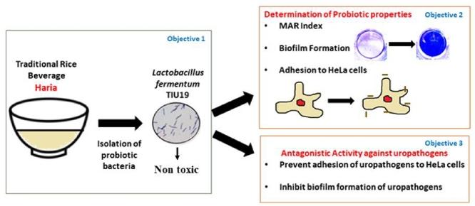 https://cdn.ncbi.nlm.nih.gov/pmc/blobs/886f/9325903/0692a5338296/ga1.jpg