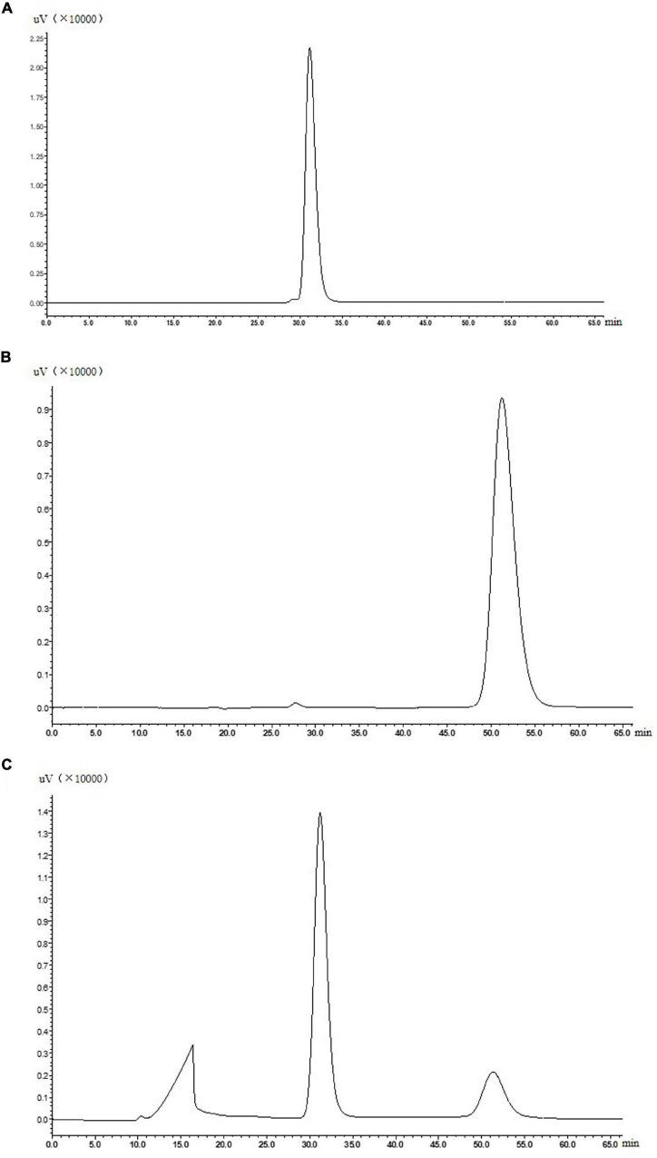 https://cdn.ncbi.nlm.nih.gov/pmc/blobs/8870/9083112/b45855846b88/fmicb-13-870168-g004.jpg