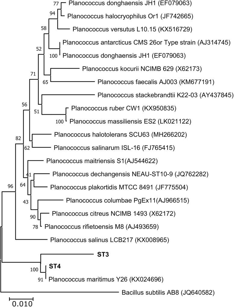 https://cdn.ncbi.nlm.nih.gov/pmc/blobs/8871/7521018/c01a1234b2aa/fmicb-11-561816-g002.jpg