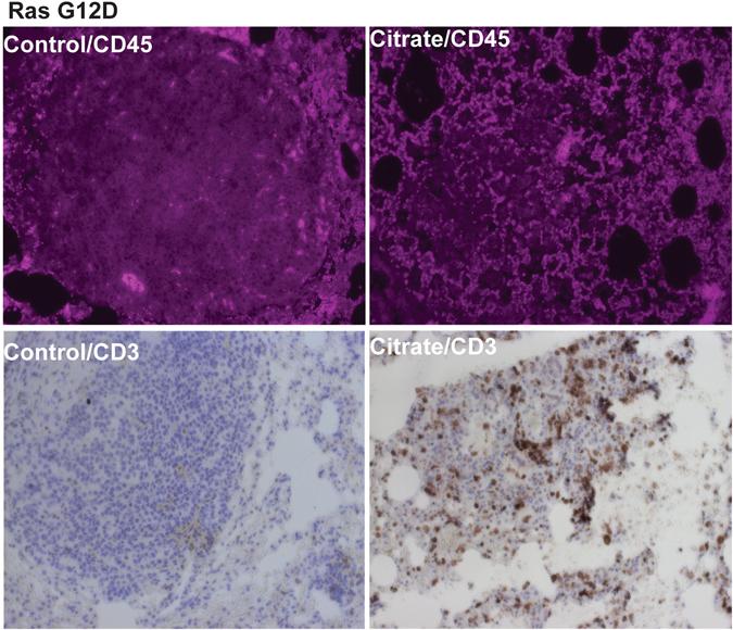 https://cdn.ncbi.nlm.nih.gov/pmc/blobs/8875/5495754/c5fe4d90fd47/41598_2017_4626_Fig3_HTML.jpg