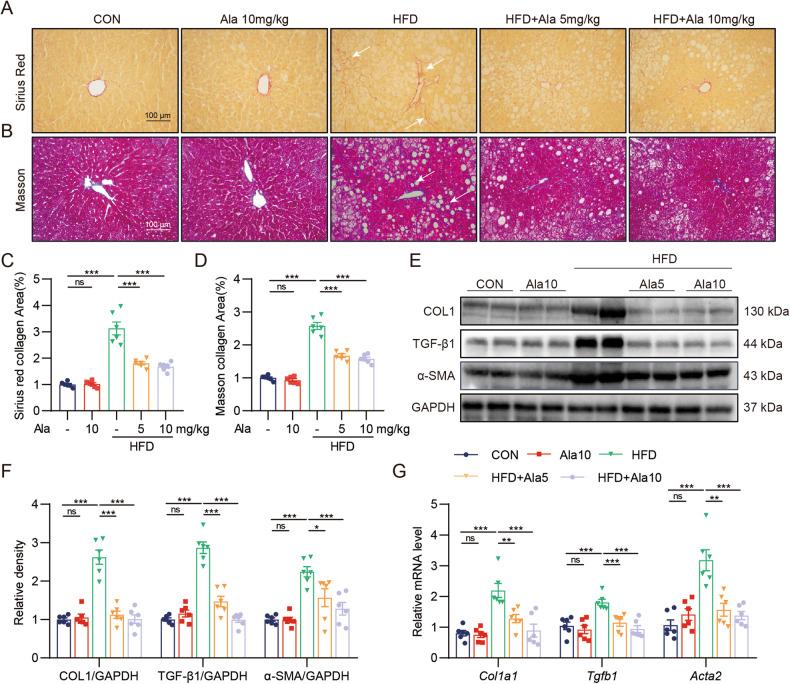 https://cdn.ncbi.nlm.nih.gov/pmc/blobs/8876/11164993/d90d6e60d505/41387_2024_300_Fig2_HTML.jpg