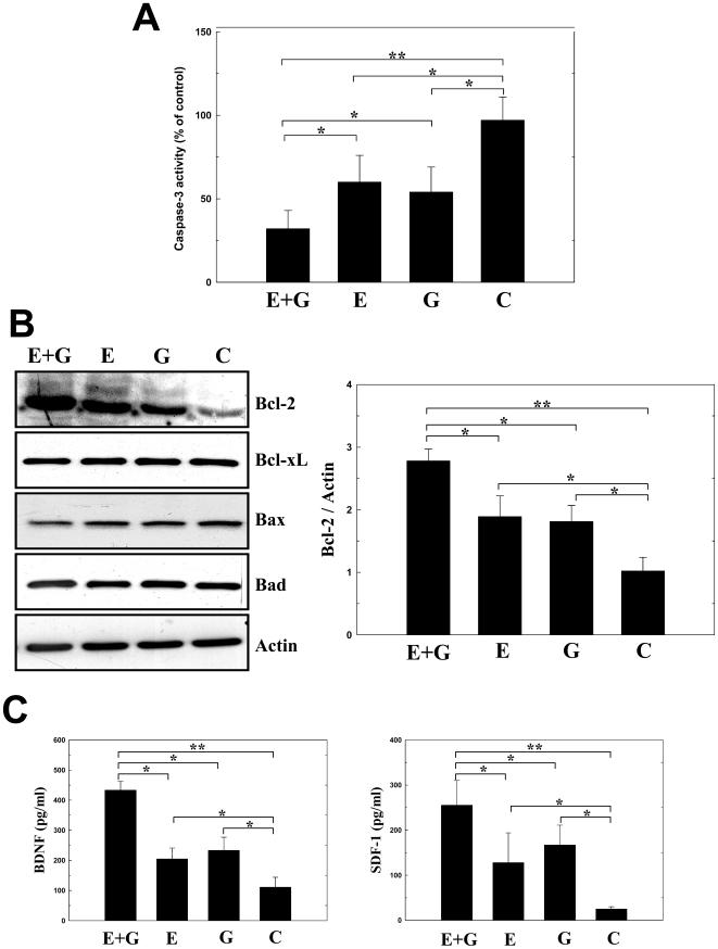 https://cdn.ncbi.nlm.nih.gov/pmc/blobs/8878/2852409/4e15bcd636c5/pone.0010093.g003.jpg