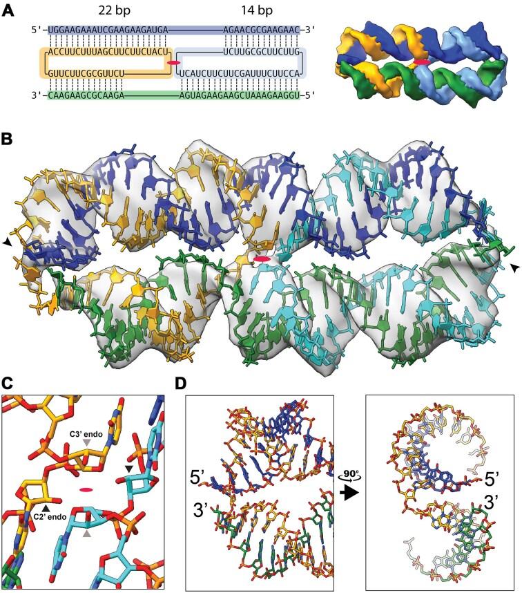 https://cdn.ncbi.nlm.nih.gov/pmc/blobs/8879/12168072/24771901df5b/gkaf057fig2.jpg