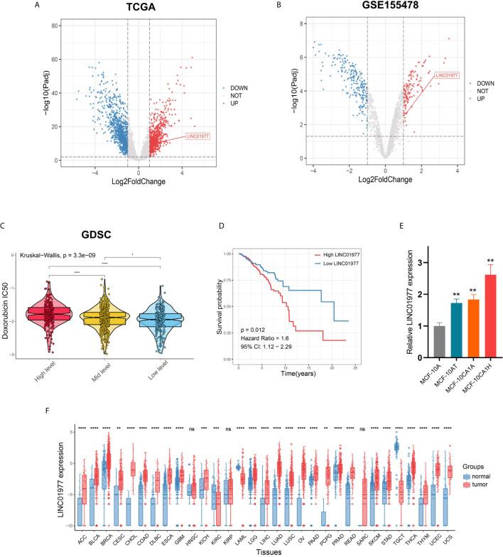 https://cdn.ncbi.nlm.nih.gov/pmc/blobs/8879/8046671/2bc56476ab0d/fonc-11-657094-g001.jpg
