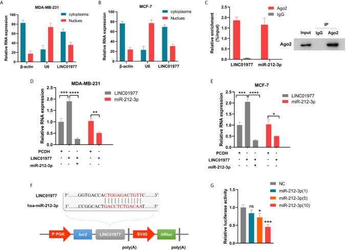 https://cdn.ncbi.nlm.nih.gov/pmc/blobs/8879/8046671/55ef95759fa9/fonc-11-657094-g004.jpg