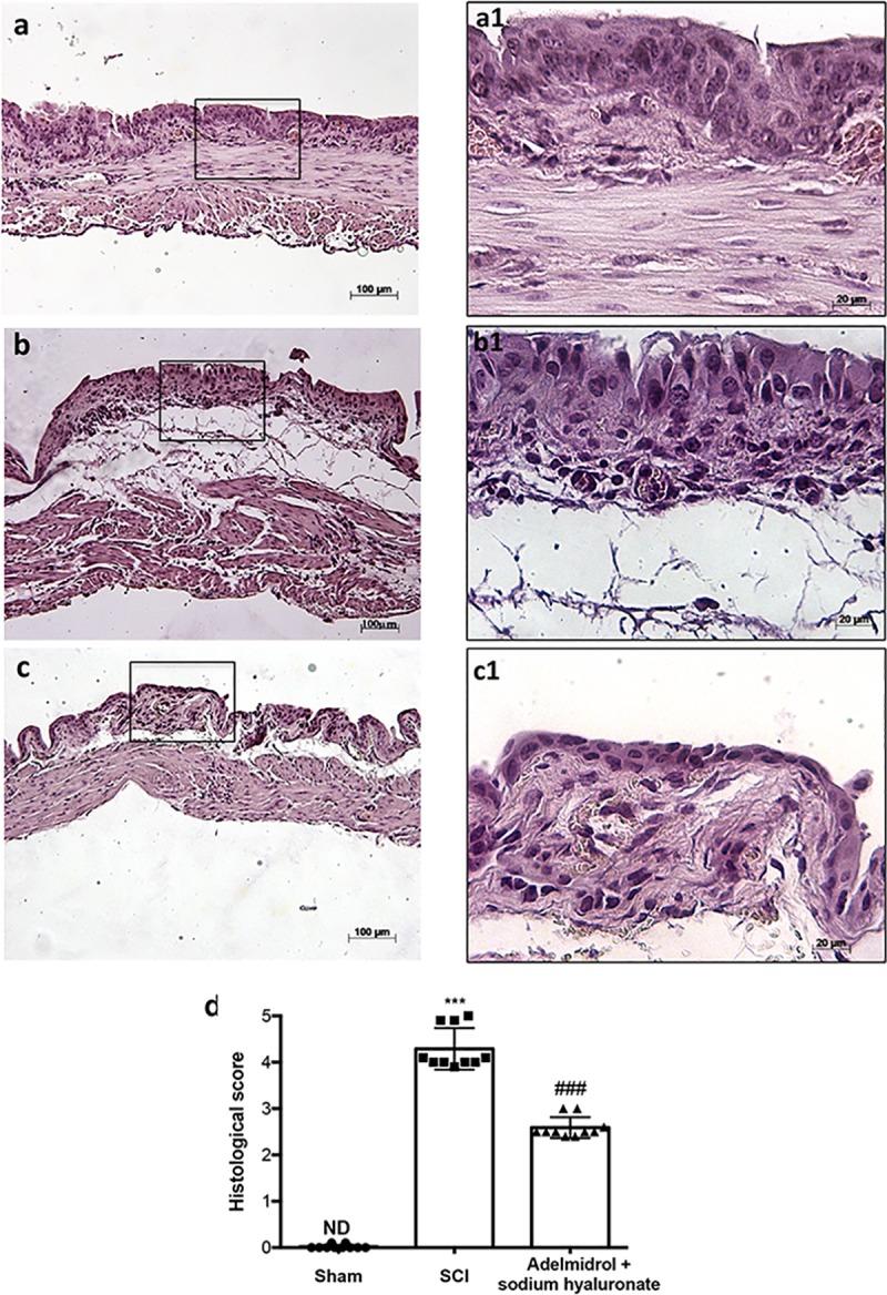 https://cdn.ncbi.nlm.nih.gov/pmc/blobs/887b/6336272/4c9f5f9d7b96/pone.0208730.g001.jpg