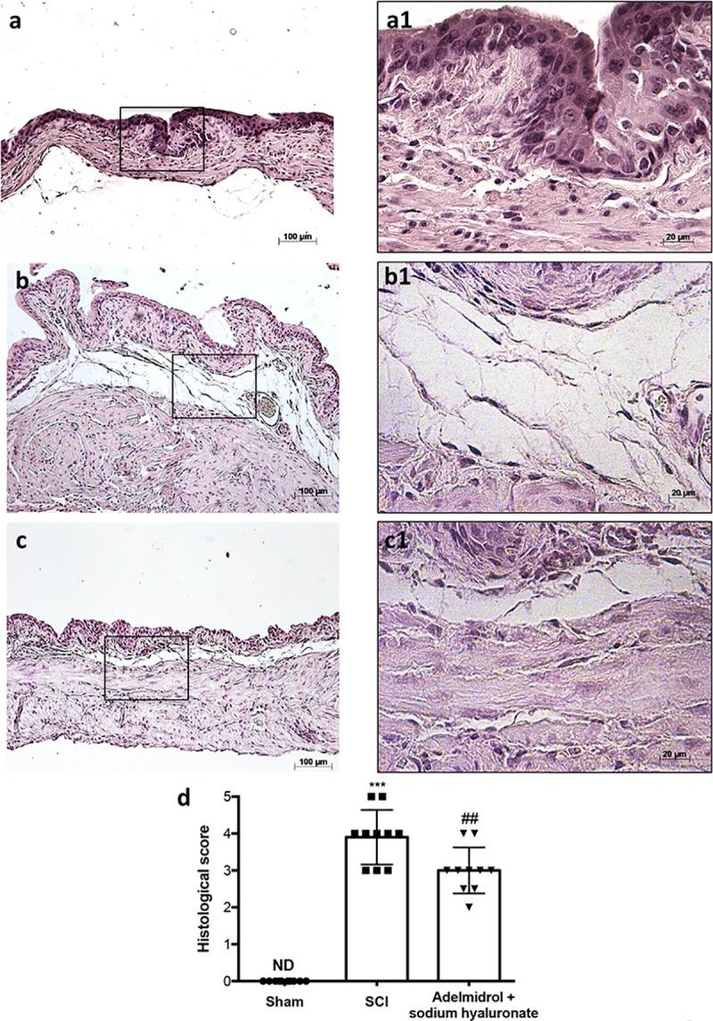 https://cdn.ncbi.nlm.nih.gov/pmc/blobs/887b/6336272/5830f1009a16/pone.0208730.g006.jpg