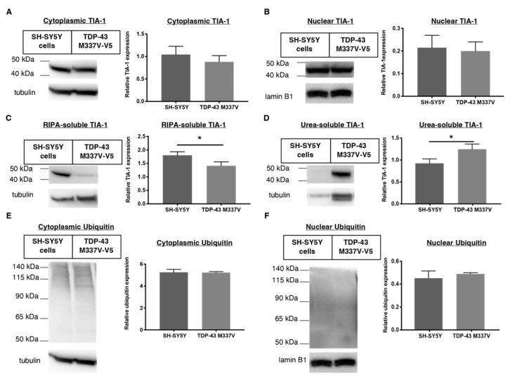 https://cdn.ncbi.nlm.nih.gov/pmc/blobs/887c/9738080/1afb50a2f297/ijms-23-14769-g006.jpg